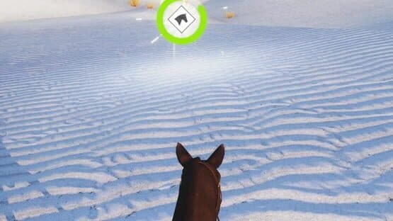 Real Horse 3D — screenshot 6