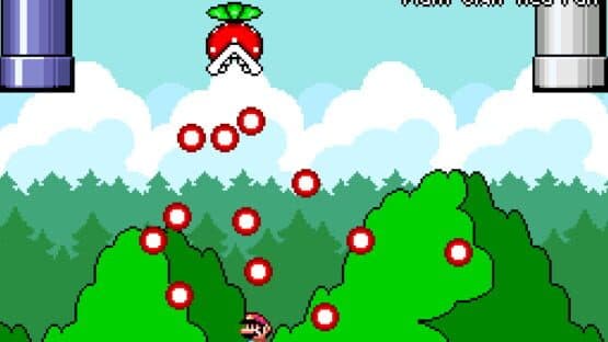 Mario Eisouoku: Illusionary Blossom of Cranium Prayer — screenshot 1