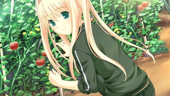 Kono Aozora ni Yakusoku wo — screenshot 1