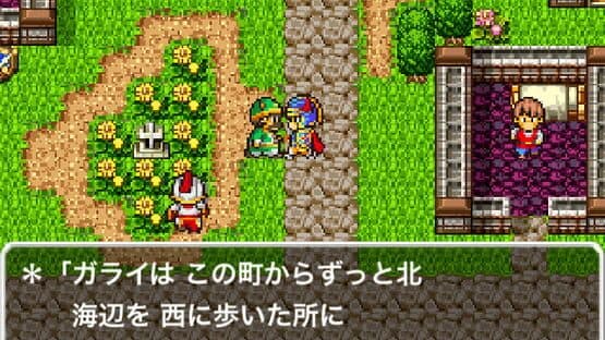 Dragon Quest — screenshot 4