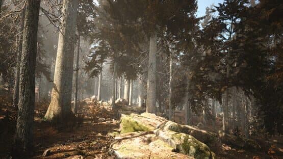 Photography Simulator — screenshot 4