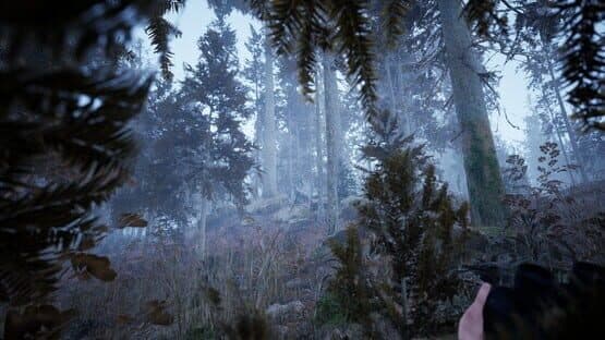 Photography Simulator — screenshot 8