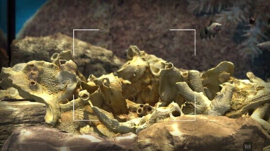 Snapshot Aquarium — screenshot 5