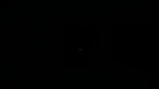 Night of the Wererat — screenshot 4