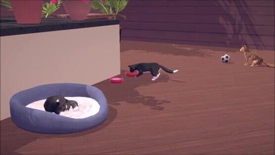 Cat Cafe Simulator — screenshot 3