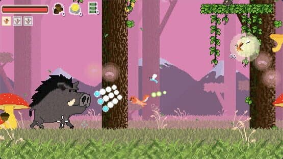 Go Nutz — screenshot 5