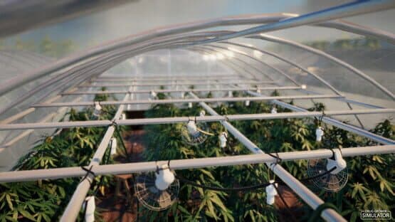 Drug Grower Simulator — screenshot 2