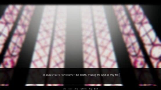 A Portrait of Feathers — screenshot 2