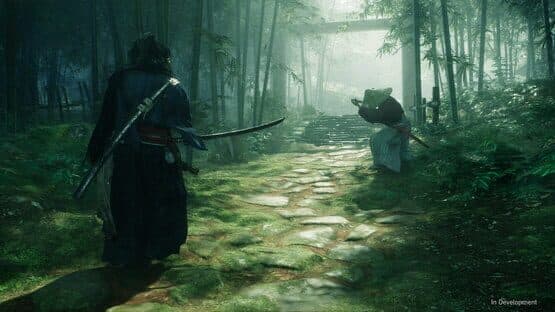 Rise of the Ronin — screenshot 2