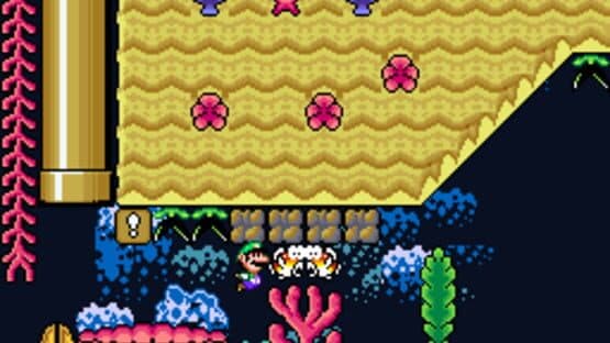 Luigi Kaizo King — screenshot 2