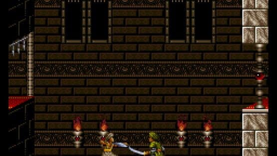 Prince of Persia — screenshot 5