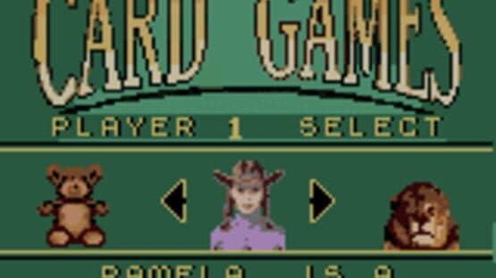 Hoyle Card Games — screenshot 3