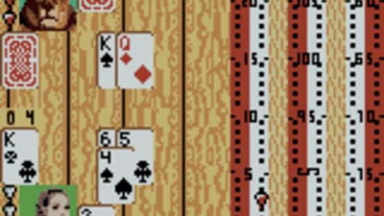 Hoyle Card Games — screenshot 6