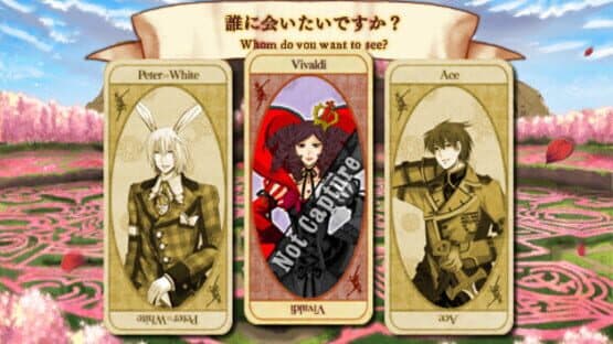 Joker no Kuni no Alice: Wonderful Wonder World — screenshot 5