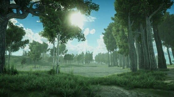 Forest Spring — screenshot 1