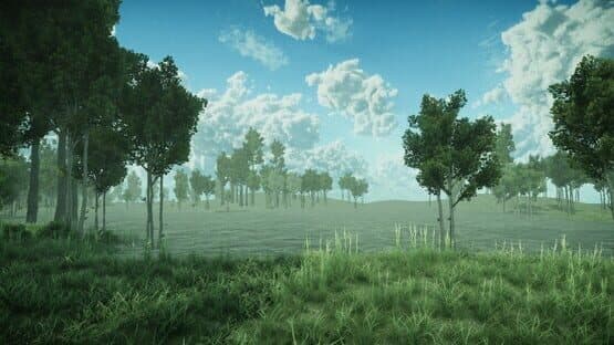 Forest Spring — screenshot 4