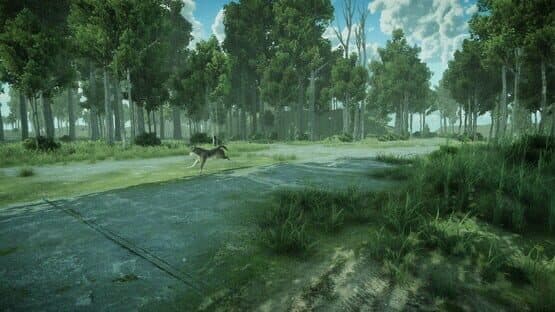 Forest Spring — screenshot 6