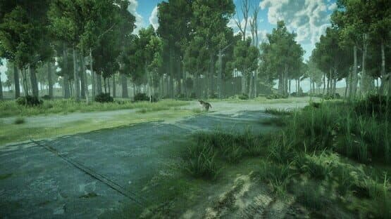 Forest Spring — screenshot 7