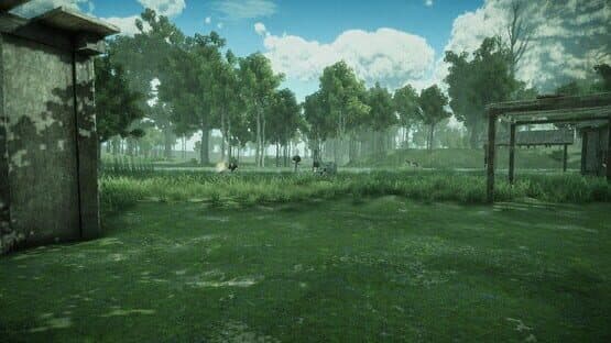 Forest Spring — screenshot 8