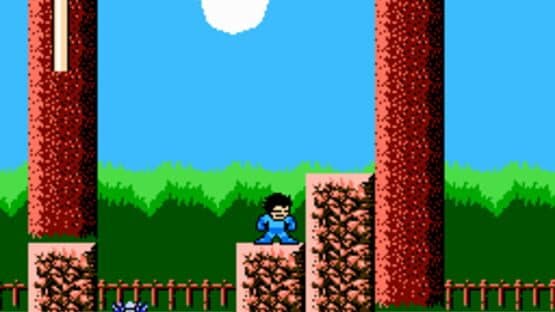 Mega Man: The New Lands — screenshot 2