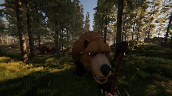 Valora Survival — screenshot 3
