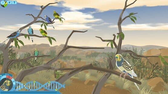 Budgie Genetics Simulator — screenshot 1