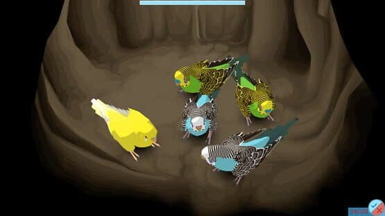 Budgie Genetics Simulator — screenshot 5