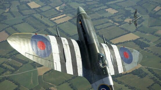 IL-2 Sturmovik: Battle of Stalingrad - Spitfire Mk.XIV Collector Plane — screenshot 2