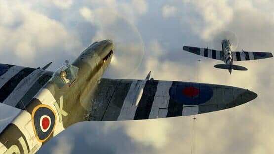 IL-2 Sturmovik: Battle of Stalingrad - Spitfire Mk.XIV Collector Plane — screenshot 5