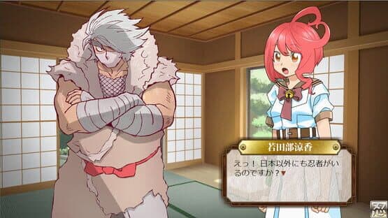 Pretty Ninja Himekage — screenshot 4