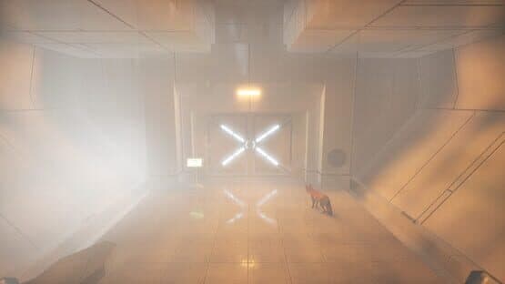 Saga Cube — screenshot 5