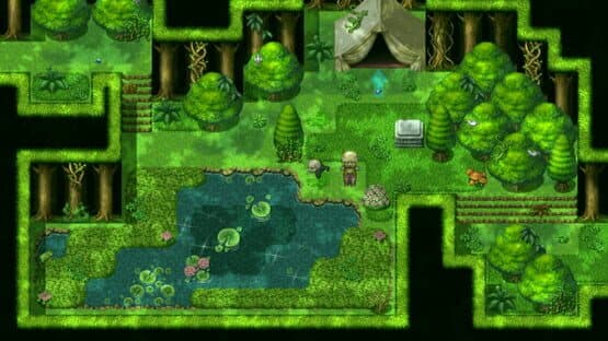 The Senex Bird — screenshot 1