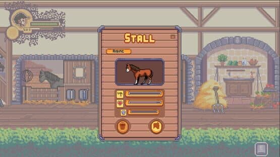 Rising Star: The Horse Game — screenshot 3