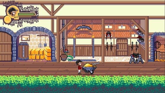 Rising Star: The Horse Game — screenshot 4