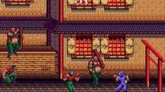 Ninja Gaiden — screenshot 2