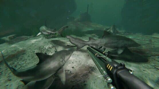 Death in the Water 2 — screenshot 2