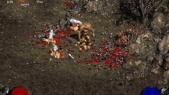 Diablo II — screenshot 5
