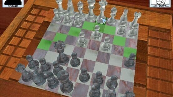 3D Chess — screenshot 3