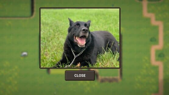 A Walk With My Dog — screenshot 3