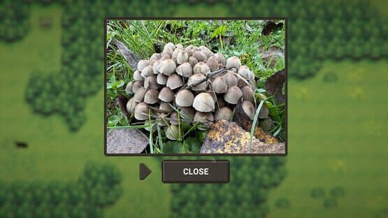 A Walk With My Dog — screenshot 6