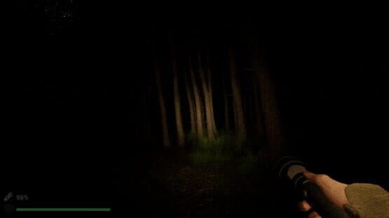 Park Ranger: Lost in the Woods — screenshot 1
