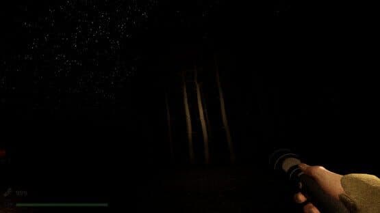 Park Ranger: Lost in the Woods — screenshot 3