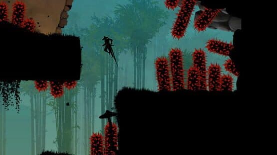 Ninja Arashi 2 — screenshot 1