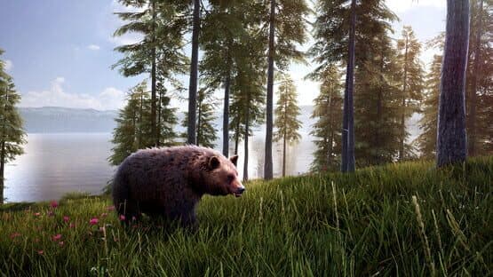 Hunting Simulator 2: Bear Hunter Pack — screenshot 1