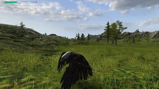 Eagle Hunting Journey — screenshot 1