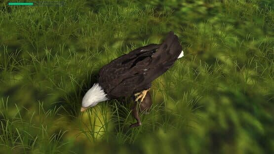 Eagle Hunting Journey — screenshot 2