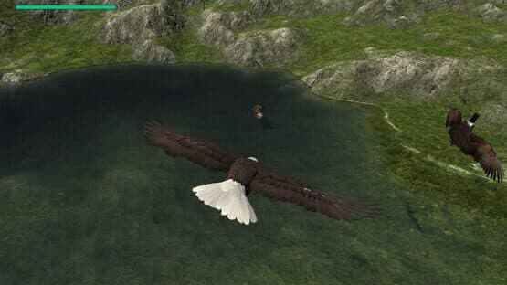 Eagle Hunting Journey — screenshot 3