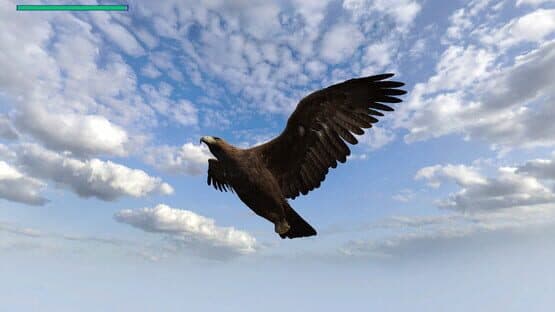 Eagle Hunting Journey — screenshot 4