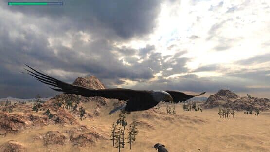 Eagle Hunting Journey — screenshot 5