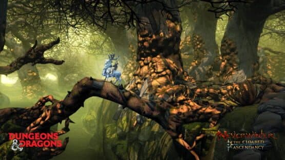 Neverwinter: The Cloaked Ascendancy — screenshot 3